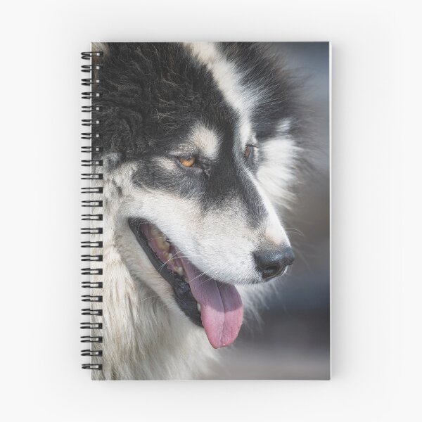 Item preview, Fluffy Greenlandic Sled Dog  designed and sold by PhotoArt by Joan Carroll.