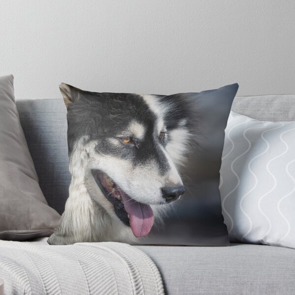 Item preview, Fluffy Greenlandic Sled Dog  designed and sold by PhotoArt by Joan Carroll.
