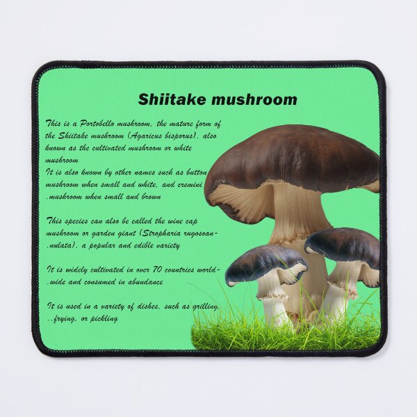 Item preview, shiitake mushrooms designed and sold by BUTTER7FLY.