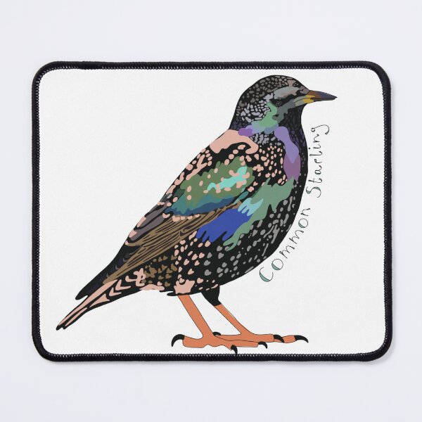 Item preview, Common Starling designed and sold by Meggie-moos.