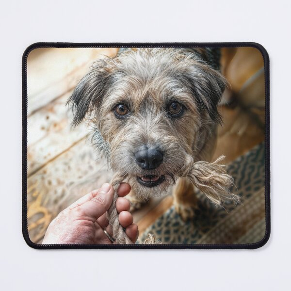 Item preview, Scruffy Dog Playing Tug of War designed and sold by Maria Dryfhout.