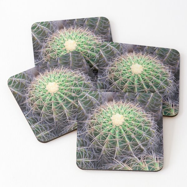 Item preview, Group of Golden Barrel Cacti with Sharp Spines Pattern designed and sold by LRPhotoart.