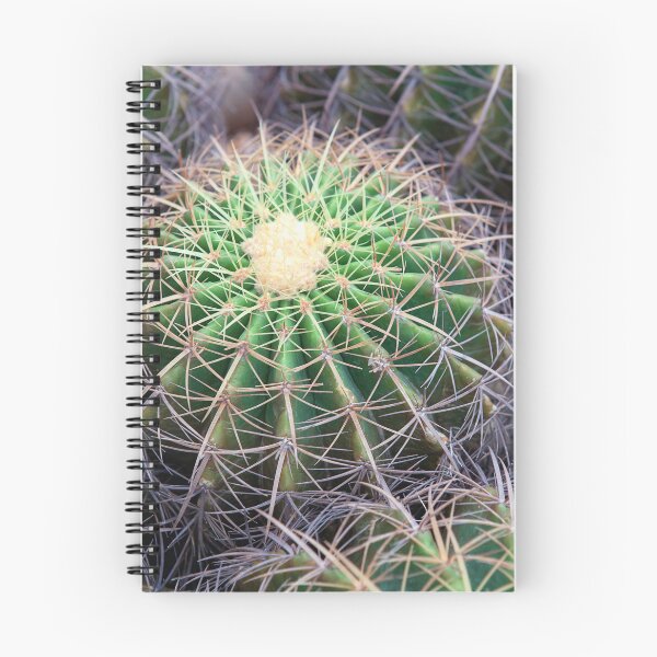 Item preview, Group of Golden Barrel Cacti with Sharp Spines Pattern designed and sold by LRPhotoart.