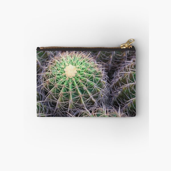 Item preview, Group of Golden Barrel Cacti with Sharp Spines Pattern designed and sold by LRPhotoart.