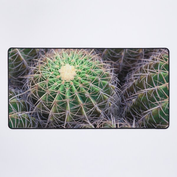 Item preview, Group of Golden Barrel Cacti with Sharp Spines Pattern designed and sold by LRPhotoart.