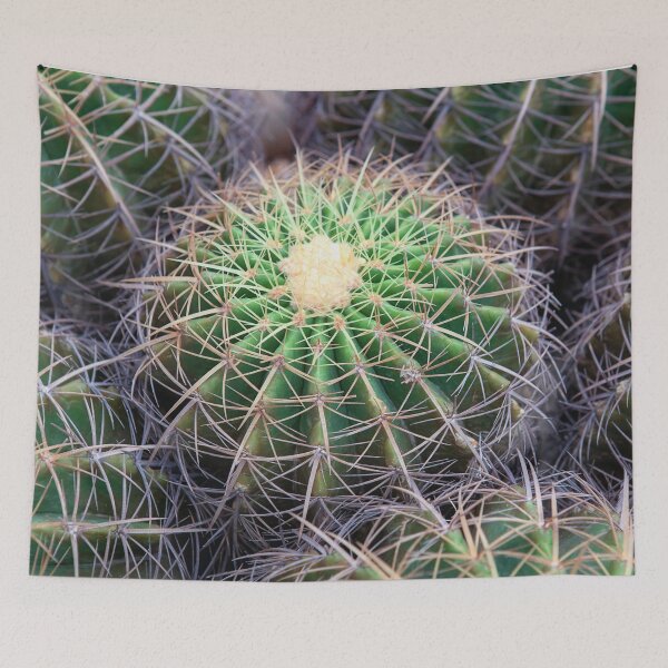 Item preview, Group of Golden Barrel Cacti with Sharp Spines Pattern designed and sold by LRPhotoart.