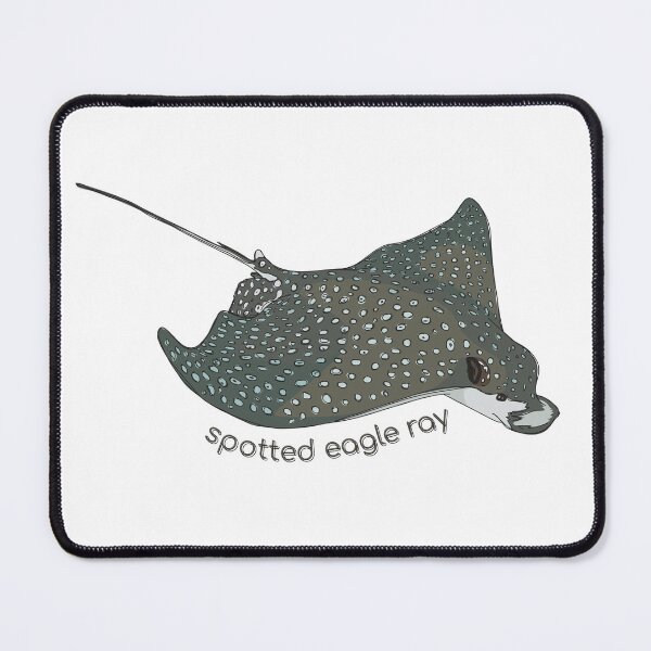 Item preview, Funky Aquatic Creatures: Spotted Eagle Ray designed and sold by abigailhausman.