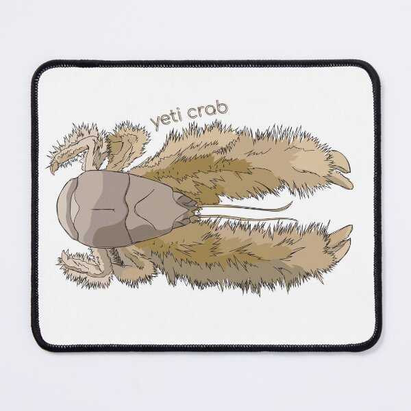 Item preview, Funky Aquatic Creatures: Yeti Crab designed and sold by abigailhausman.