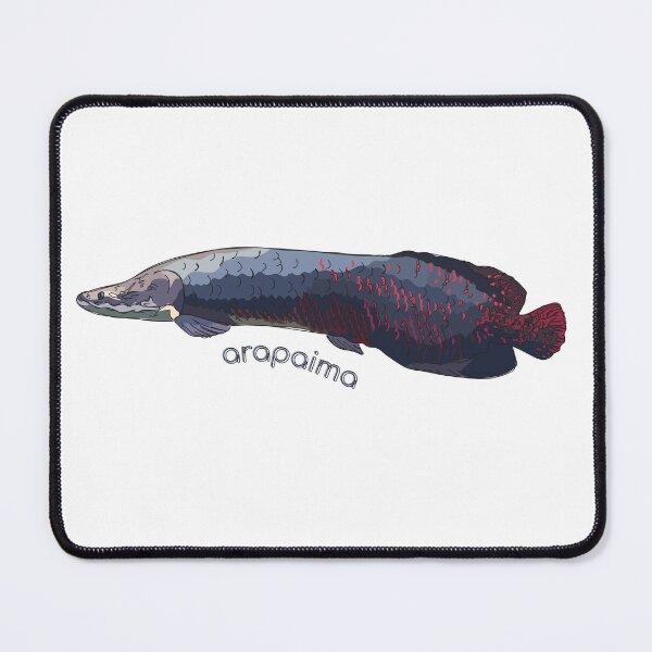Item preview, Funky Aquatic Creatures: Arapaima designed and sold by abigailhausman.