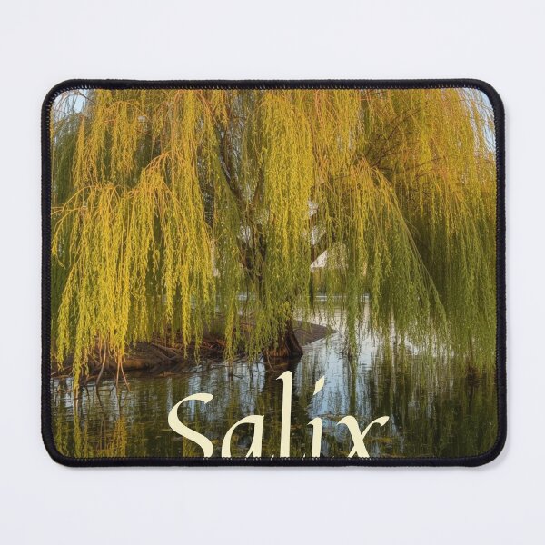 Item preview, Charming Willow by the Water designed and sold by Mijaszi.