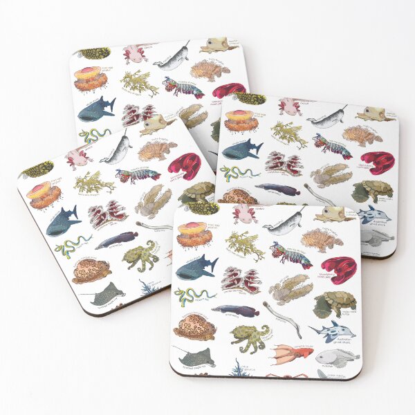 Item preview, Funky Aquatic Creatures designed and sold by abigailhausman.