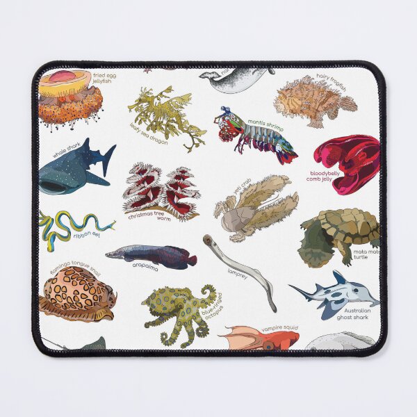 Item preview, Funky Aquatic Creatures designed and sold by abigailhausman.