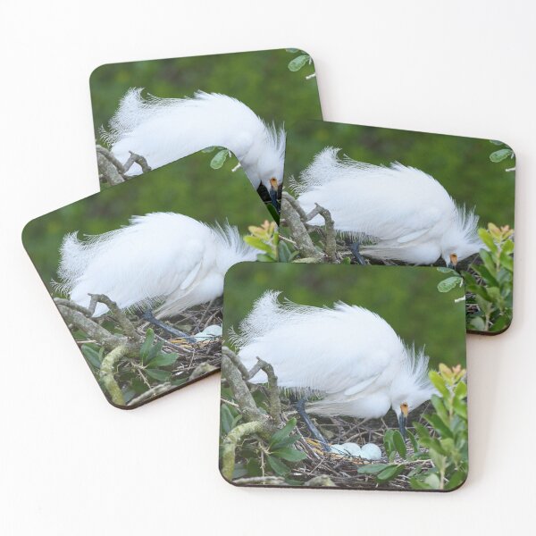 Item preview, Snowy Egret Tends Its Nest designed and sold by richardbryce.