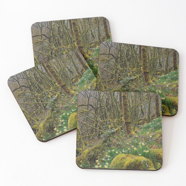 Item preview, Mossy Rebirth: Authentic Spring Narcissus in Gorges de l’Auvézère designed and sold by Kainicram.