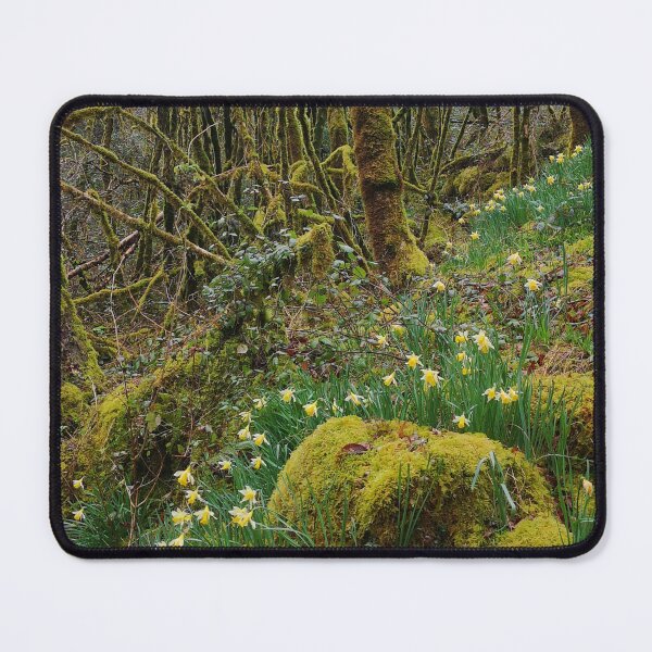 Item preview, Mossy Rebirth: Authentic Spring Narcissus in Gorges de l’Auvézère designed and sold by Kainicram.