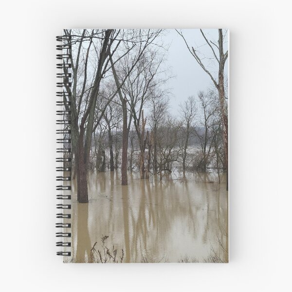 Item preview, Flood Today 2 designed and sold by Abeink1030.