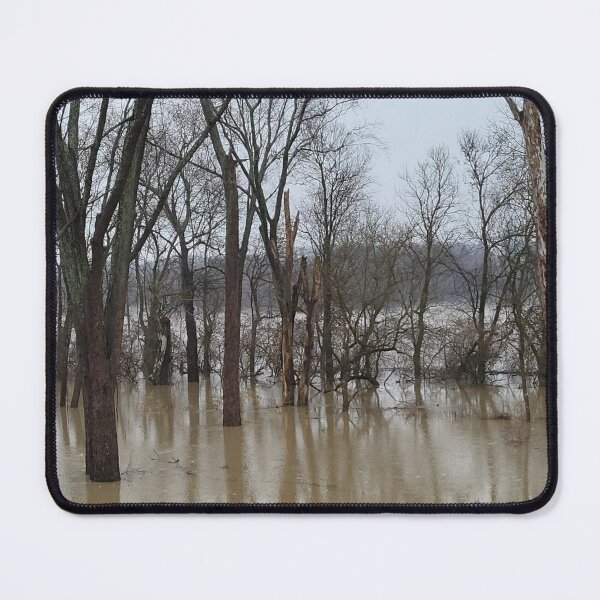 Item preview, Flood Today 2 designed and sold by Abeink1030.