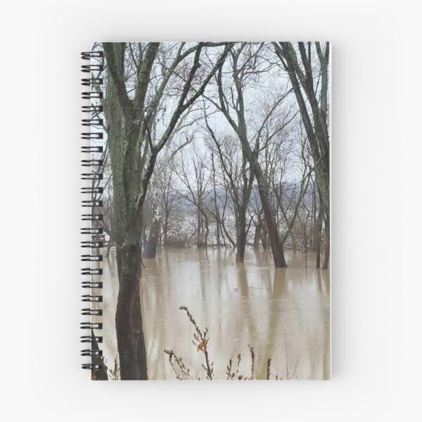 Item preview, Flood Today 3 designed and sold by Abeink1030.