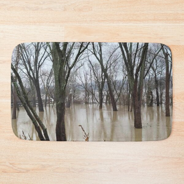 Item preview, Flood Today 3 designed and sold by Abeink1030.