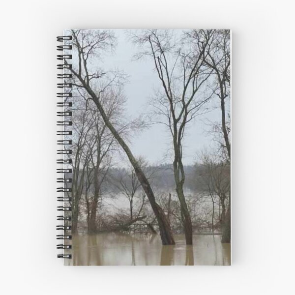 Item preview, Flood Today 4 designed and sold by Abeink1030.