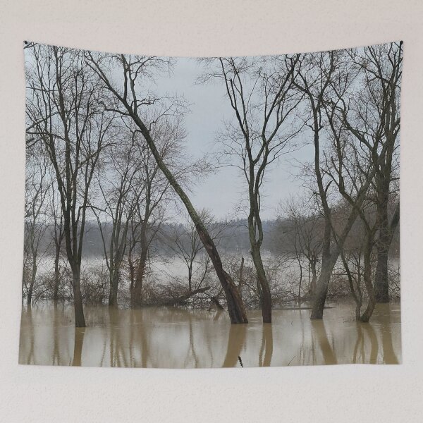 Item preview, Flood Today 6 designed and sold by Abeink1030.