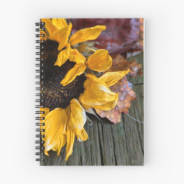 Item preview, Sunflower laying on a wooden deck designed and sold by Jessica Duncan.