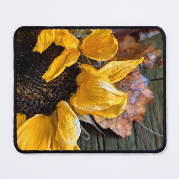 Item preview, Sunflower laying on a wooden deck designed and sold by Jessica Duncan.