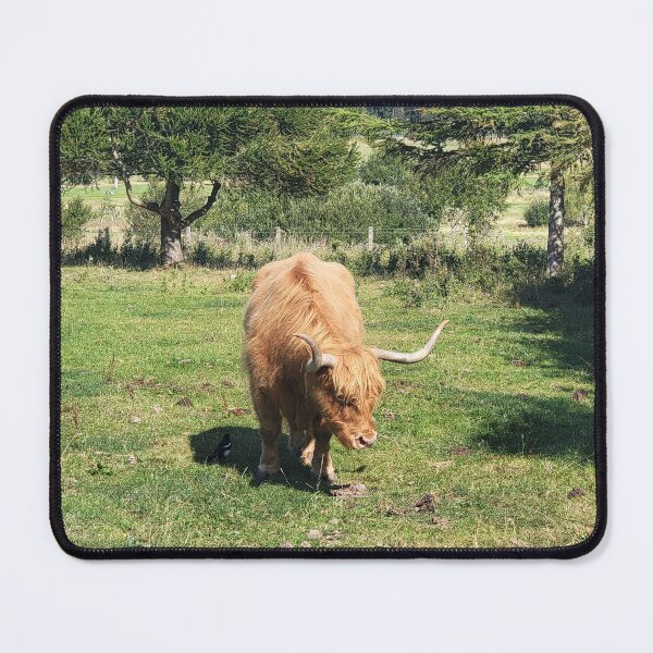 Artikelvorschau, Hairy Coo entworfen und verkauft von Pitcher Perfect.