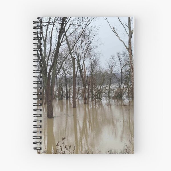 Item preview, Flood Today 7 designed and sold by Abeink1030.