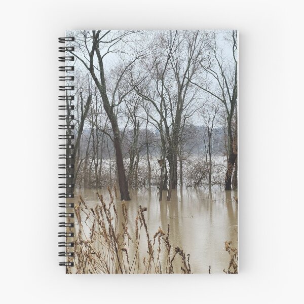 Item preview, Flood Today 8 designed and sold by Abeink1030.