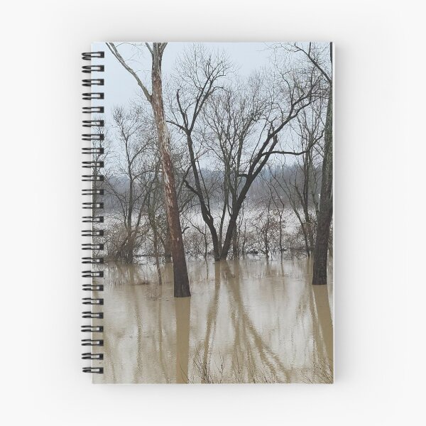 Item preview, Flood Today 10 designed and sold by Abeink1030.