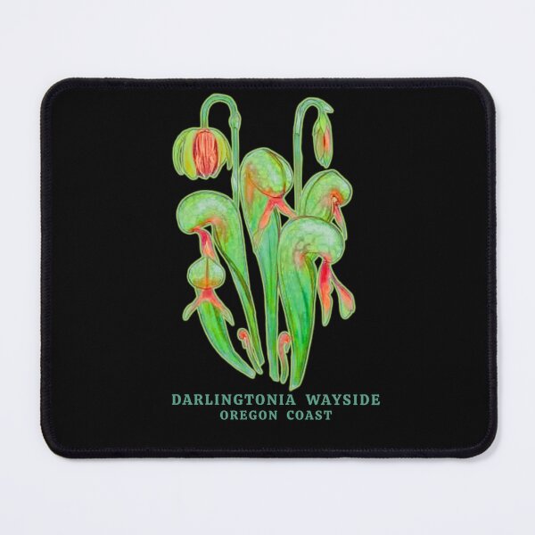 Item preview, Darlingtonia Wayside on the Oregon Coast designed and sold by CatsPa.