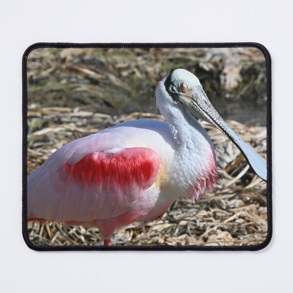 Item preview, Red and Gold  designed and sold by Glennphotos.