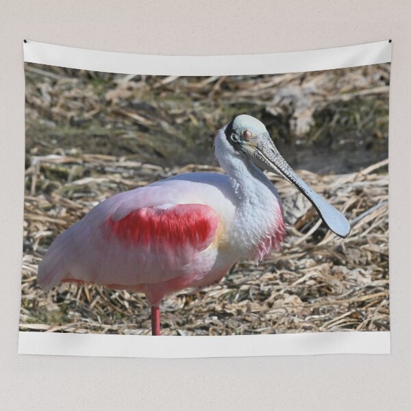 Item preview, Red and Gold  designed and sold by Glennphotos.