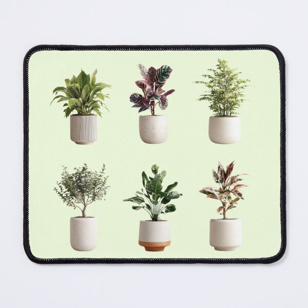 Item preview, Little Indoor Plants designed and sold by bubblyrainbow.