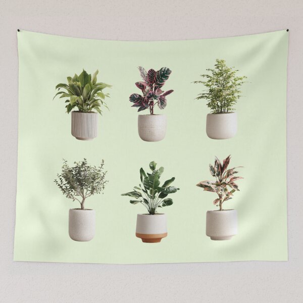 Item preview, Little Indoor Plants designed and sold by bubblyrainbow.
