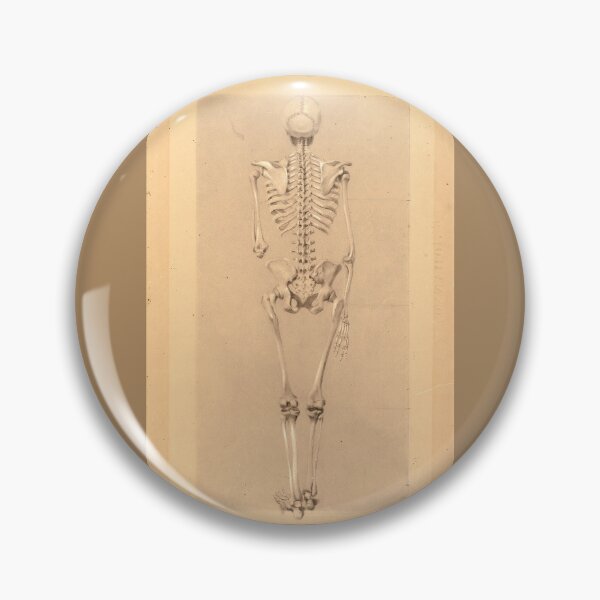 Item preview, Rear View of a Skeleton by Daniel Huntington designed and sold by Amanda1775.