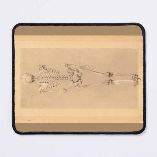 Item preview, Rear View of a Skeleton by Daniel Huntington designed and sold by Amanda1775.