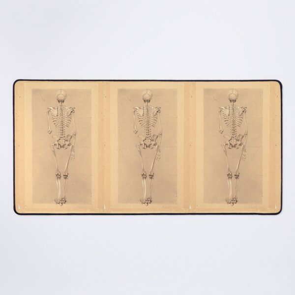 Item preview, Rear View of a Skeleton by Daniel Huntington designed and sold by Amanda1775.
