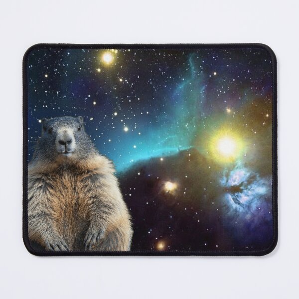 Item preview, Marmot Who Knows Too Much — Cosmic Galaxy Wildlife Meme designed and sold by AnotherMarmot.