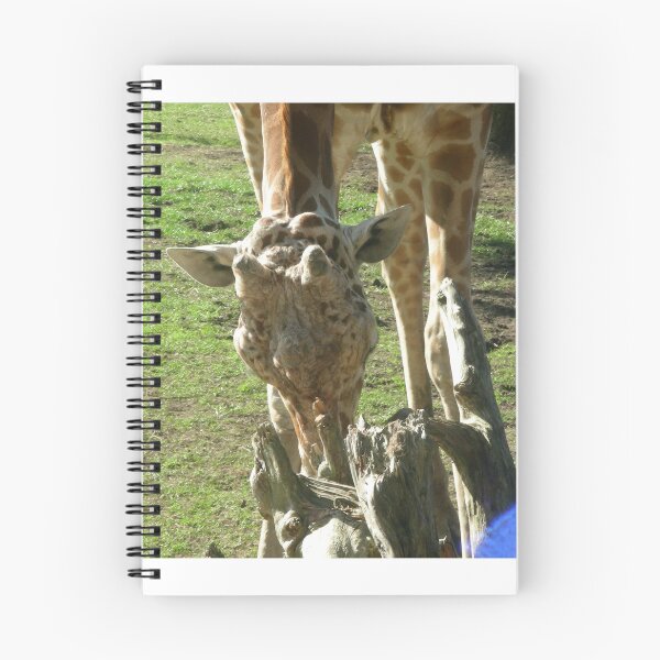 Item preview, Giraffes 026 designed and sold by pasta26mc.