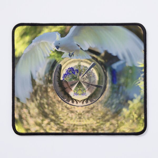 Item preview, Abstract ( 38 )  A Cockatoo Landing designed and sold by Larry Davis.