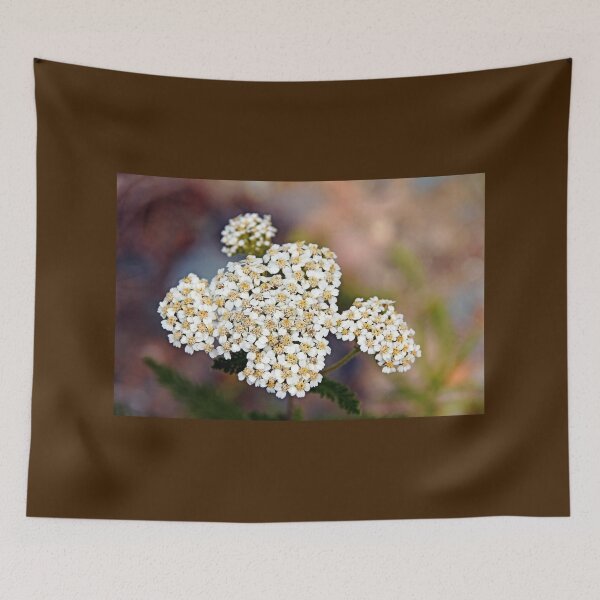 Item preview, Yarrow Wildflower designed and sold by Debbie Oppermann.