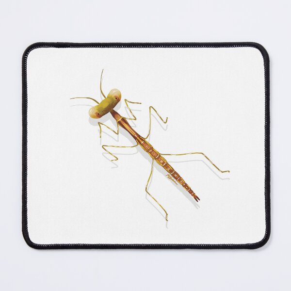 Item preview, Stick Mantis designed and sold by Karin Taylor.