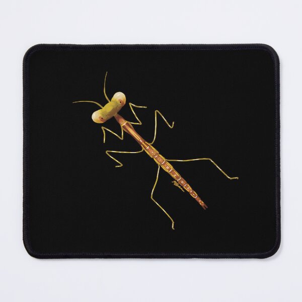 Item preview, Stick Mantis designed and sold by Karin Taylor.
