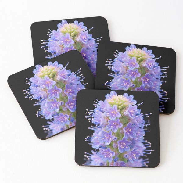 Item preview, Blue Purple Wildflower Macro – Botanical Flower on Black Background designed and sold by Mindrender.
