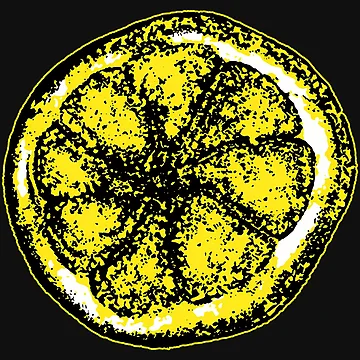 Artwork thumbnail, Stone Roses Merch The Stone Roses Lemon Ringer by Briggs56
