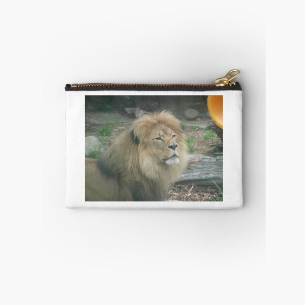 Item preview, Lions 011 designed and sold by pasta26mc.