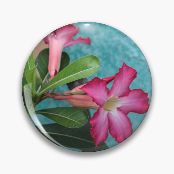 Artikelvorschau, Rosa Wüstenrosen in Blüte entworfen und verkauft von Micki Selvitella.