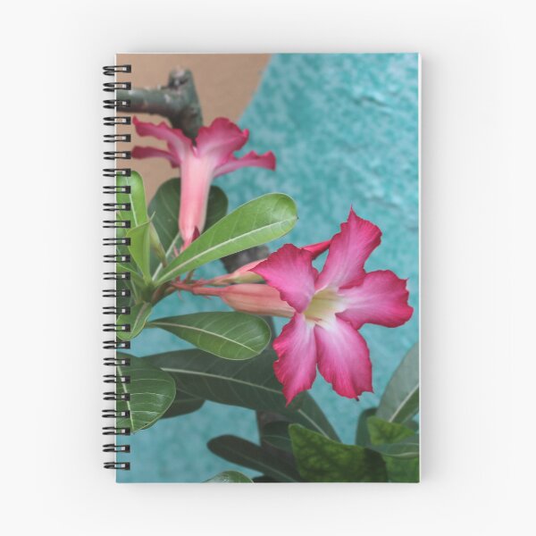 Item preview, Pink Desert Roses in Bloom designed and sold by Micki Selvitella.